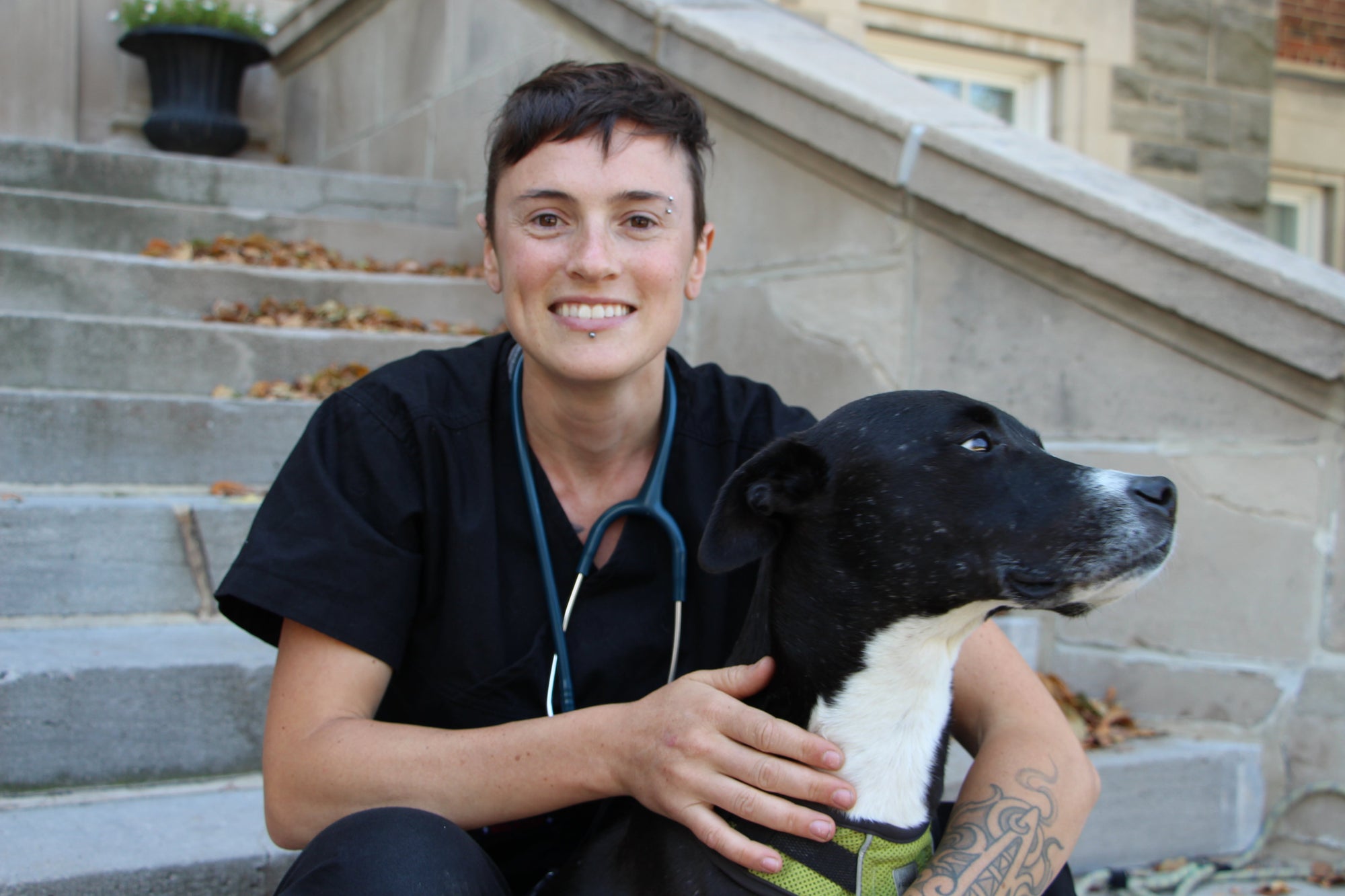 What Goes Into the Credentials? "Board-Certified Veterinary Nutritionist" Explained