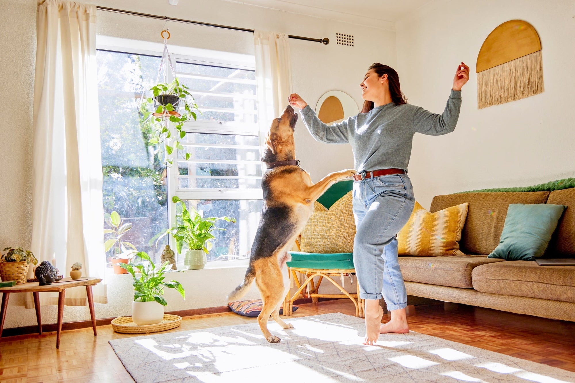 Can Dogs Live Longer on a Plant-Based Diet? Exploring the Research