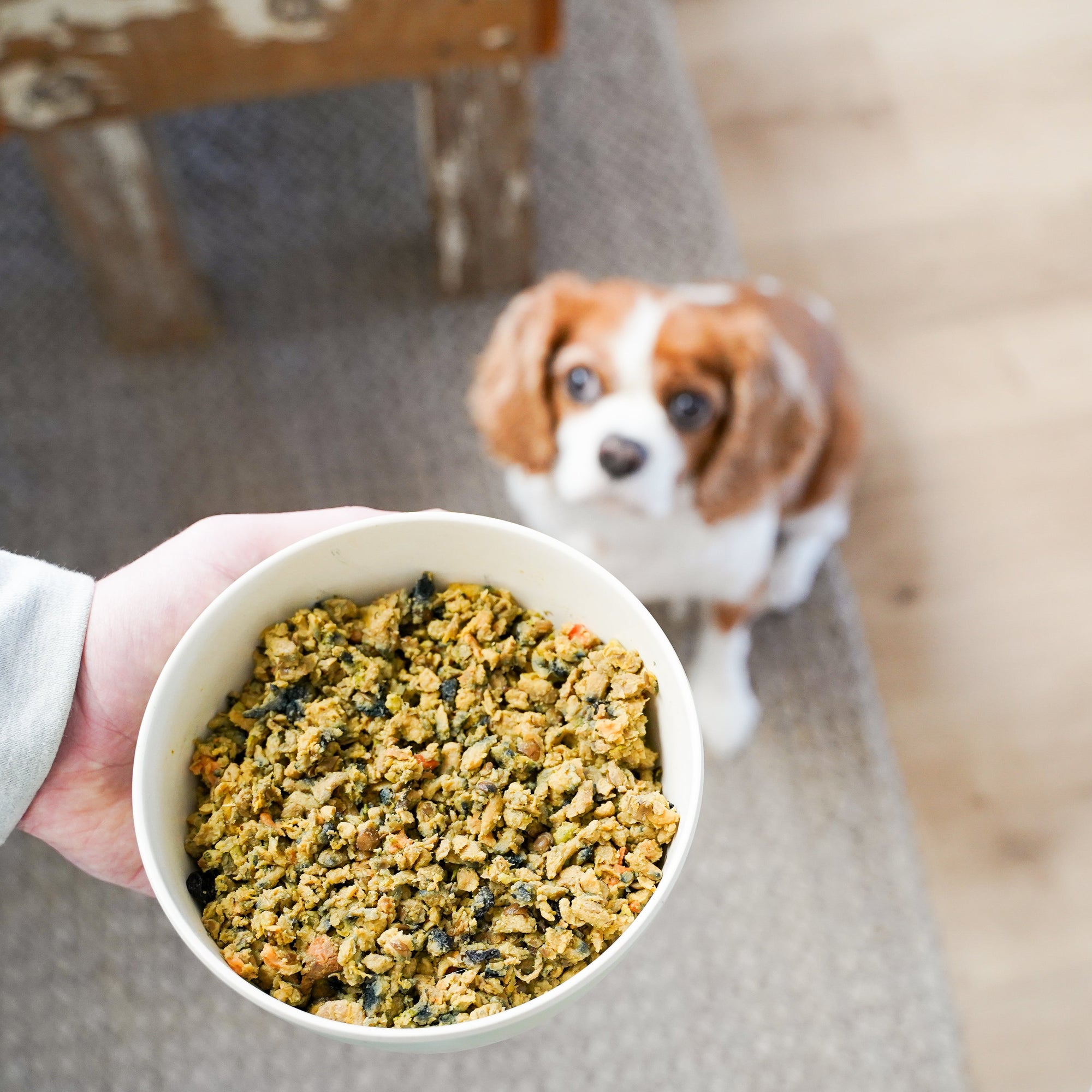 Large Box High Protein Recipe