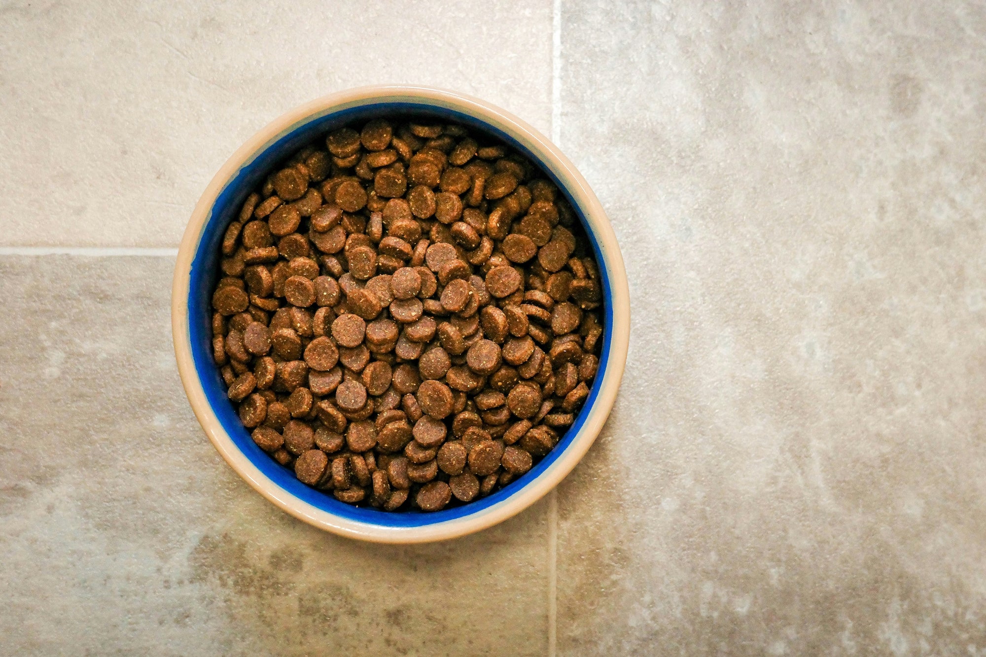 Are Over-Processed Kibbles Contributing to the Rise in Dog Food Allergies?