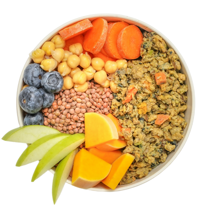 High Protein Recipe