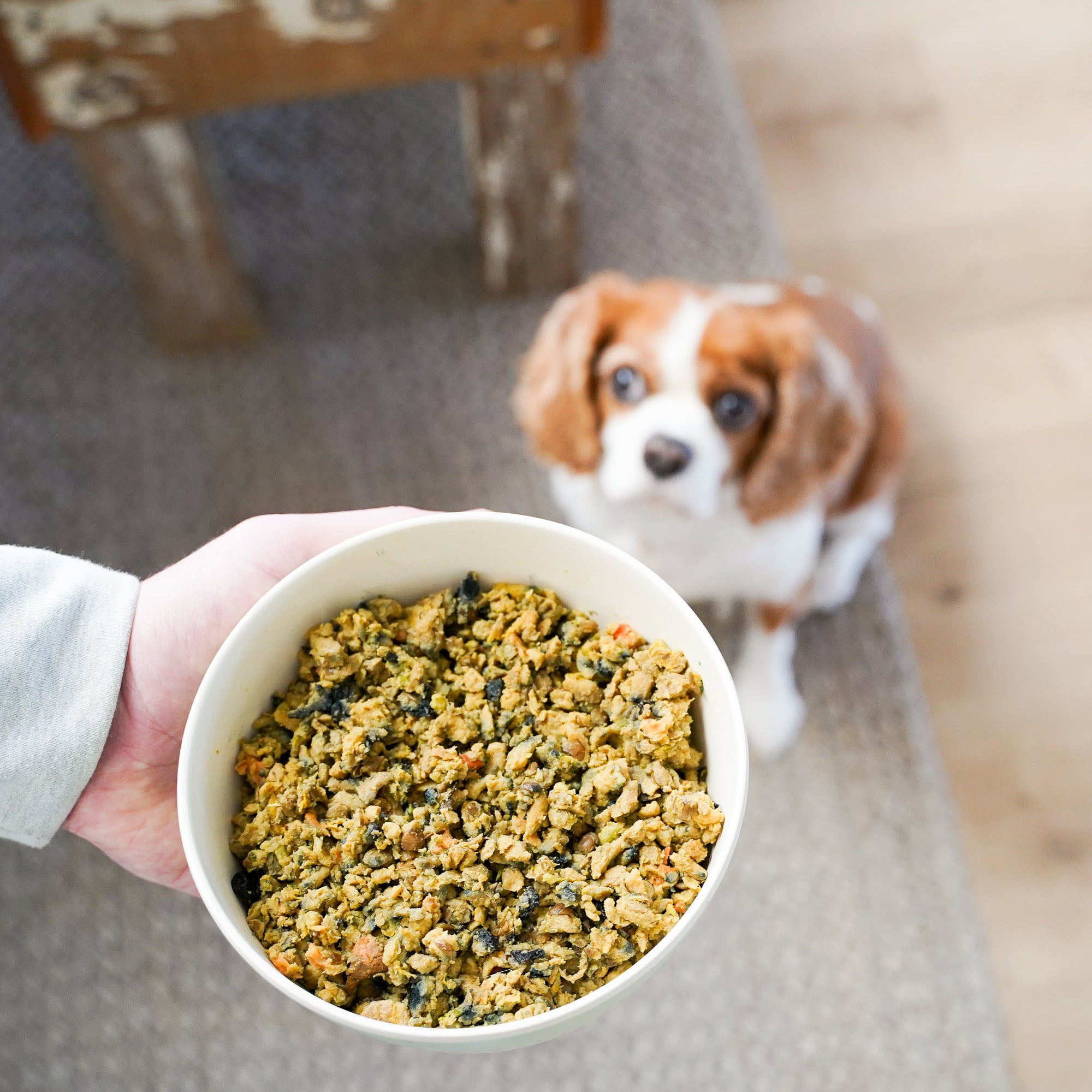 High Protein Recipe