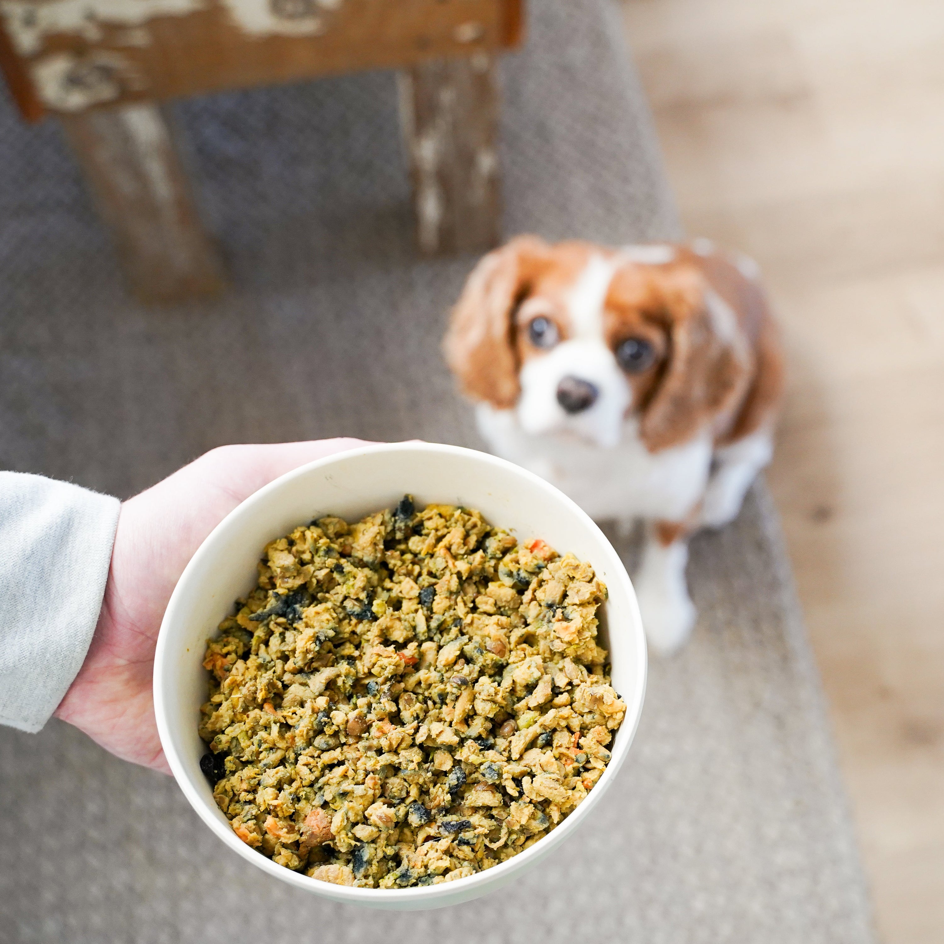 High Protein Recipe